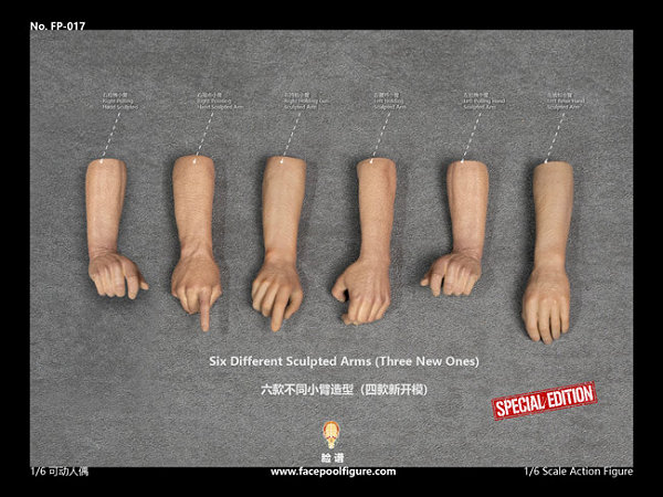 Face Pool Figure フェイスプールフィギュア 1/6 アクションフィギュア